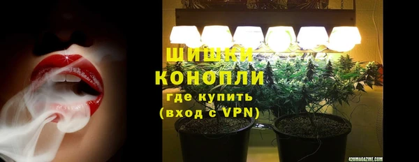 трава Горнозаводск