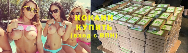 шишки Вязьма