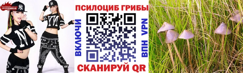 mega tor  Волгодонск  Псилоцибиновые грибы Psilocybe  где купить наркоту 